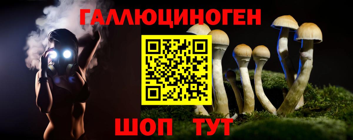 Галлюциногенные грибы Cubensis  Вход с VPN  Псилоцибиновые грибы Psilocybine cubensis  Нижний Новгород 